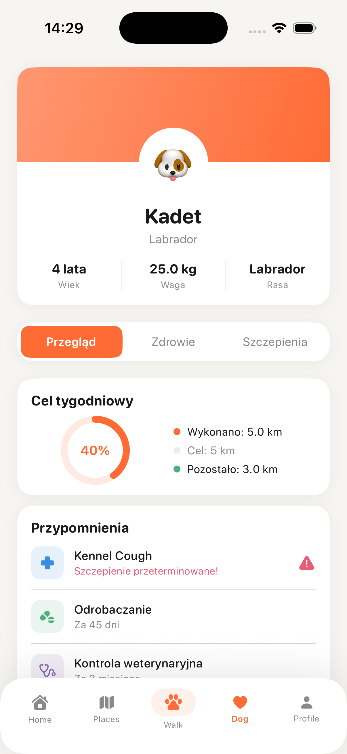 Main App Screenshot